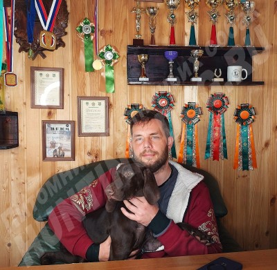 Новые владельцы